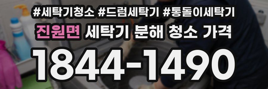 진원면 세탁기 분해 청소 가격