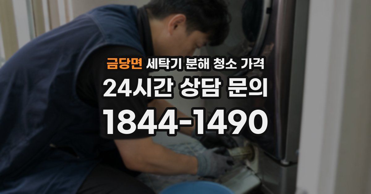 금당면 세탁기 분해 청소 가격