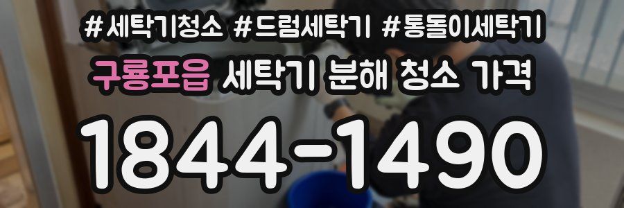 구룡포읍 세탁기 분해 청소 가격