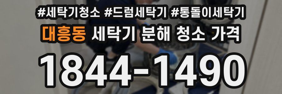 대흥동 세탁기 분해 청소 가격