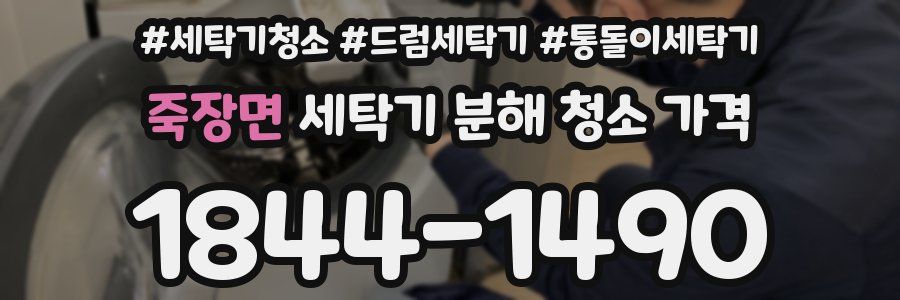 죽장면 세탁기 분해 청소 가격
