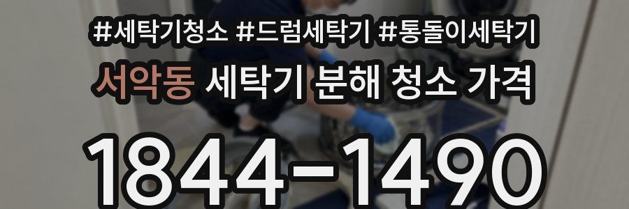 서악동 세탁기 분해 청소 가격