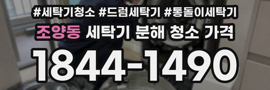 조양동 세탁기 분해 청소 가격