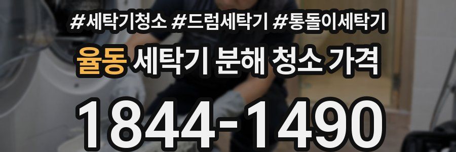 율동 세탁기 분해 청소 가격