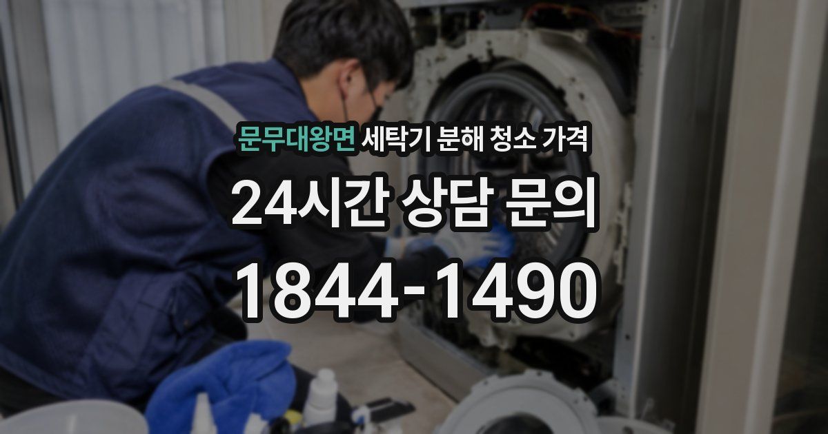 문무대왕면 세탁기 분해 청소 가격