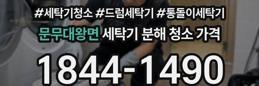 문무대왕면 세탁기 분해 청소 가격