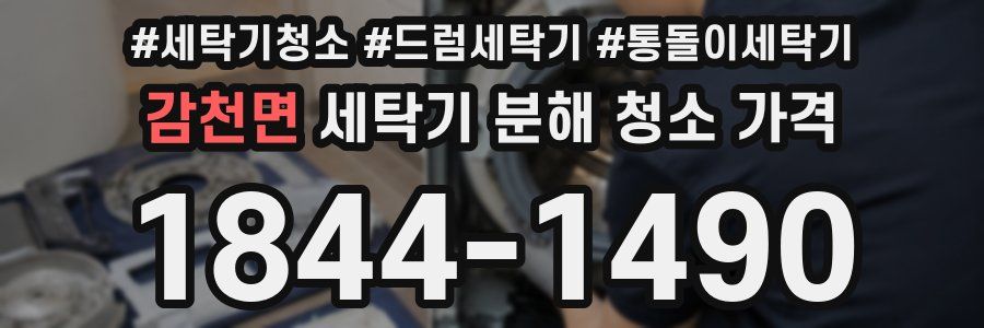 감천면 세탁기 분해 청소 가격