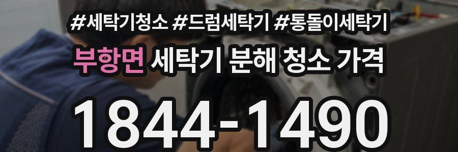 부항면 세탁기 분해 청소 가격