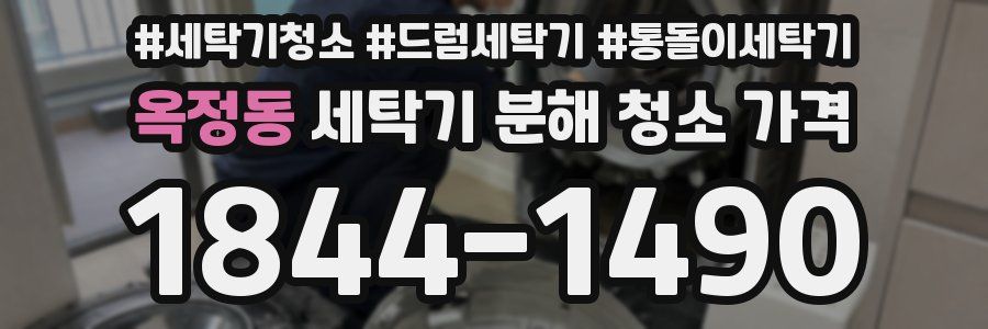 옥정동 세탁기 분해 청소 가격