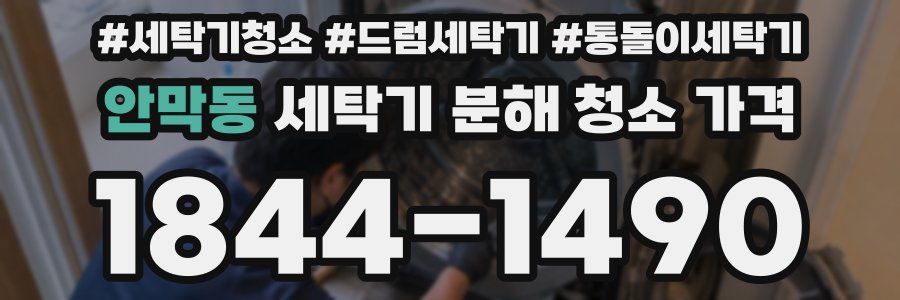 안막동 세탁기 분해 청소 가격