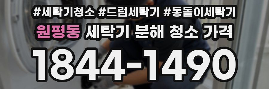 원평동 세탁기 분해 청소 가격