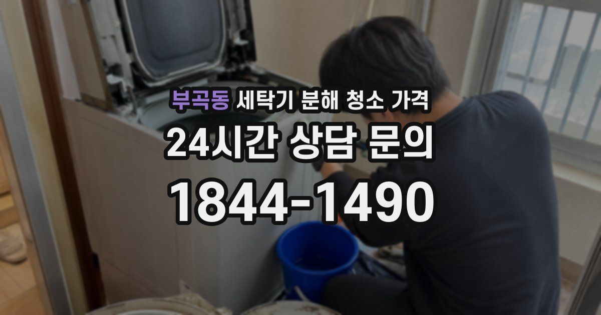 부곡동 세탁기 분해 청소 가격