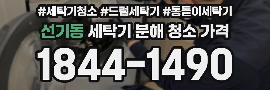 선기동 세탁기 분해 청소 가격