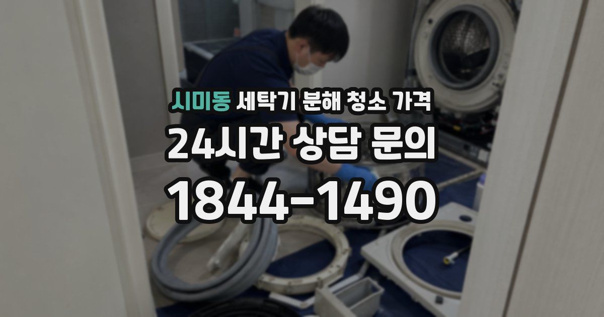 시미동 세탁기 분해 청소 가격