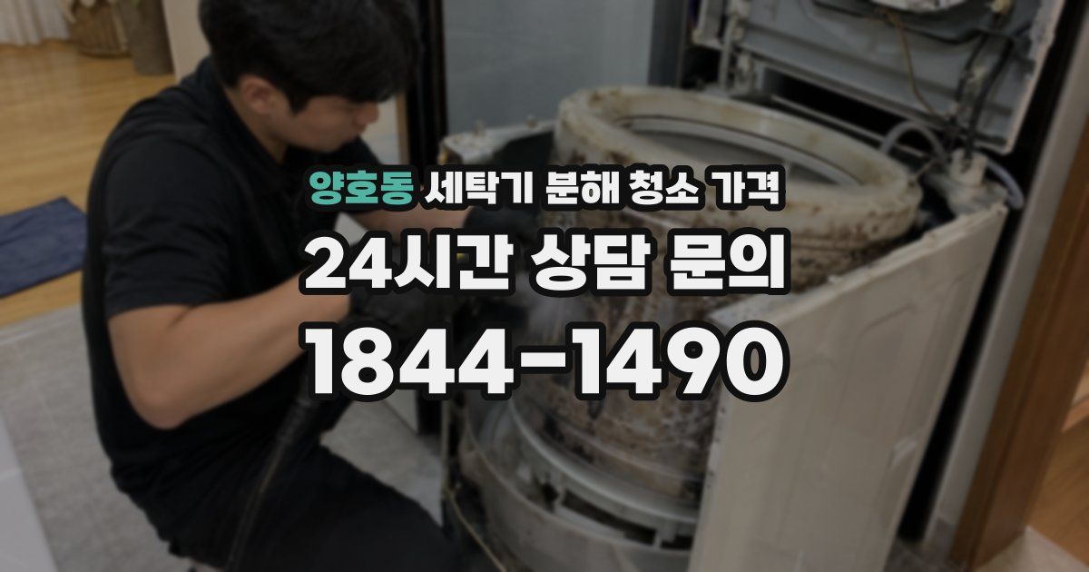 양호동 세탁기 분해 청소 가격