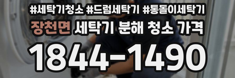 장천면 세탁기 분해 청소 가격