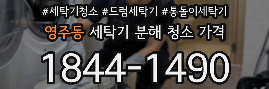 영주동 세탁기 분해 청소 가격