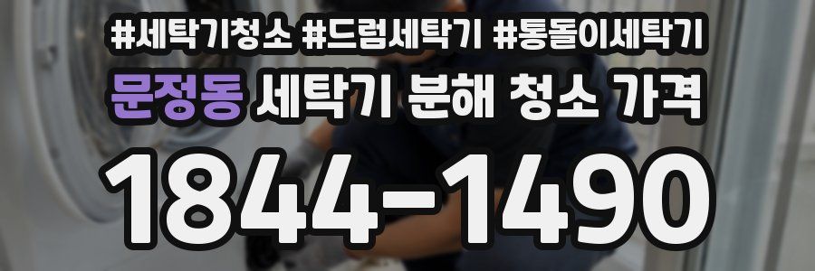 문정동 세탁기 분해 청소 가격