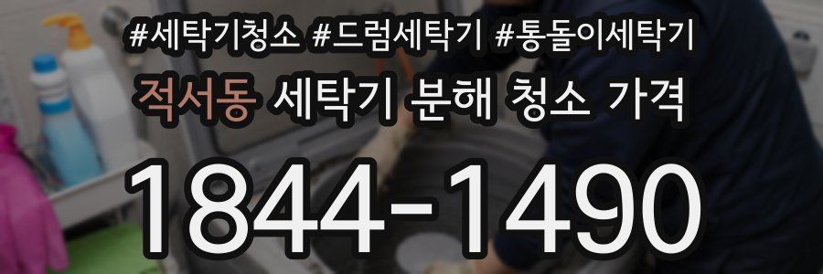 적서동 세탁기 분해 청소 가격