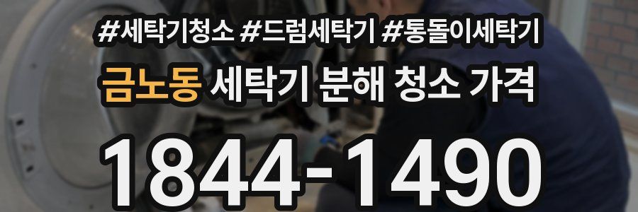 금노동 세탁기 분해 청소 가격