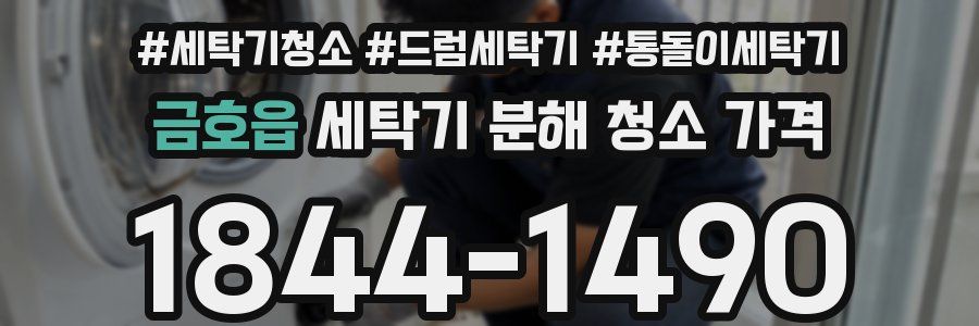 금호읍 세탁기 분해 청소 가격