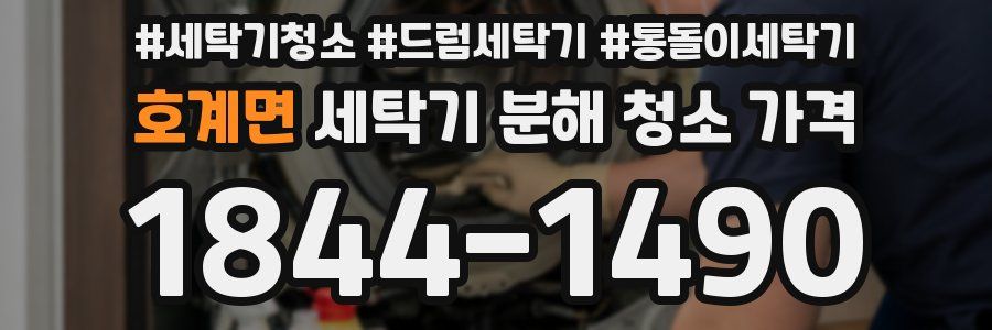 호계면 세탁기 분해 청소 가격