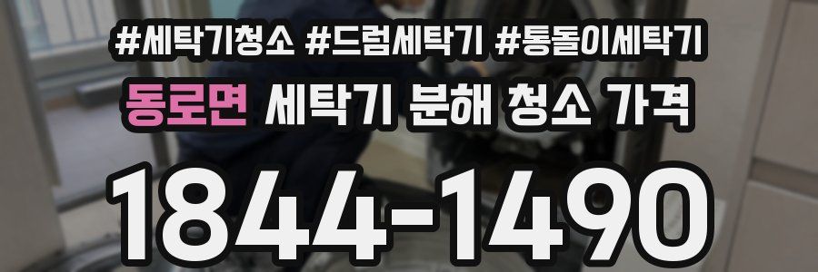동로면 세탁기 분해 청소 가격