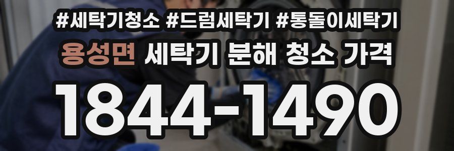 용성면 세탁기 분해 청소 가격