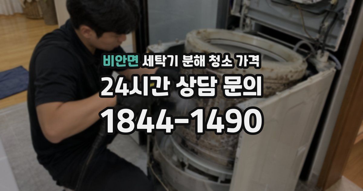 비안면 세탁기 분해 청소 가격