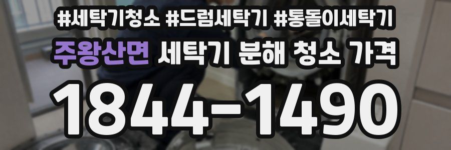 주왕산면 세탁기 분해 청소 가격