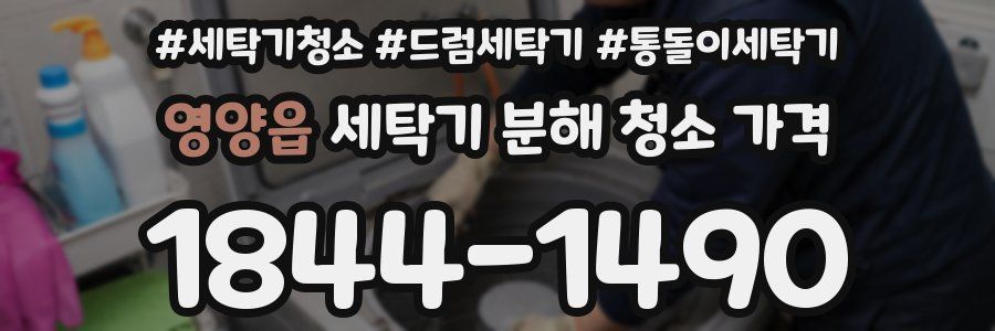 영양읍 세탁기 분해 청소 가격