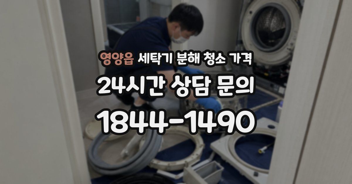 영양읍 세탁기 분해 청소 가격