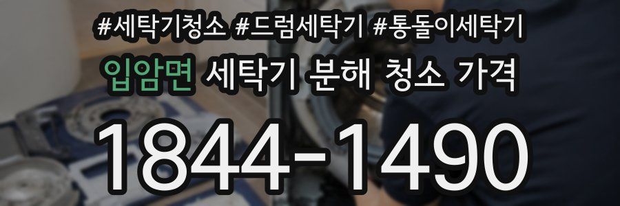 입암면 세탁기 분해 청소 가격