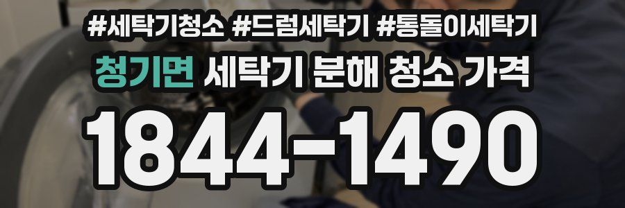 청기면 세탁기 분해 청소 가격