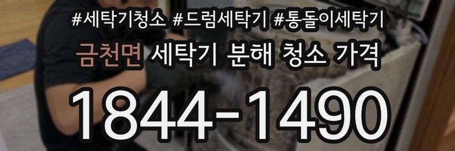 금천면 세탁기 분해 청소 가격