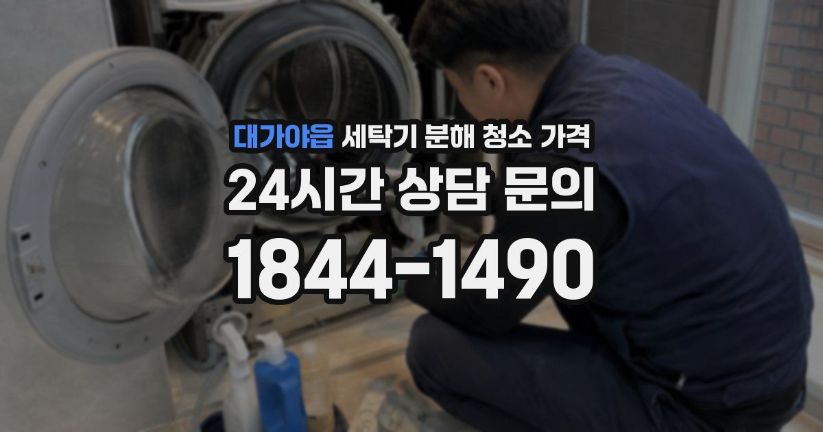 대가야읍 세탁기 분해 청소 가격