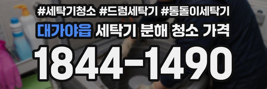 대가야읍 세탁기 분해 청소 가격
