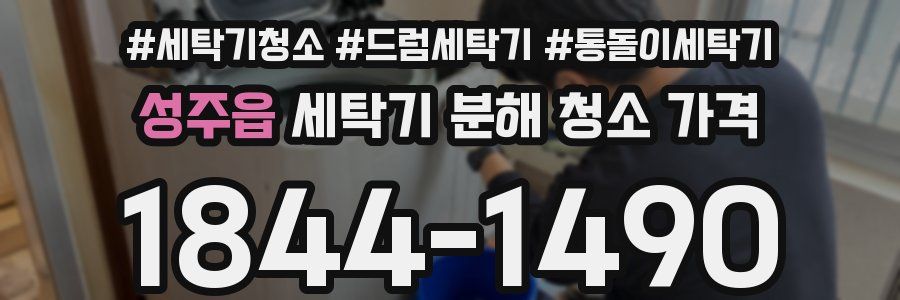 성주읍 세탁기 분해 청소 가격