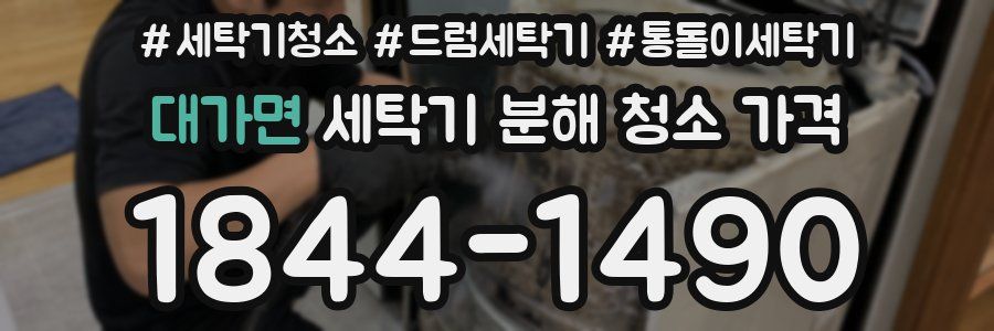 대가면 세탁기 분해 청소 가격