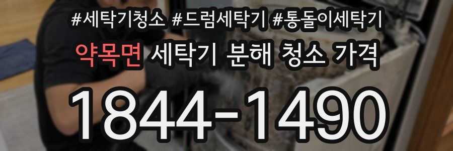 약목면 세탁기 분해 청소 가격