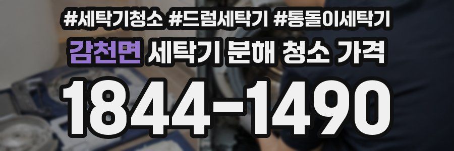 감천면 세탁기 분해 청소 가격
