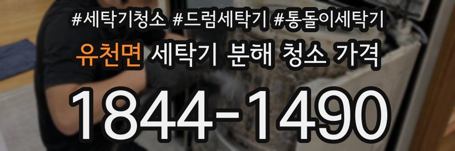유천면 세탁기 분해 청소 가격