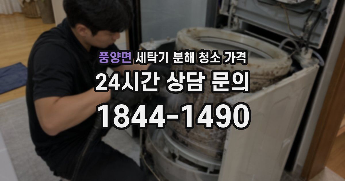 풍양면 세탁기 분해 청소 가격