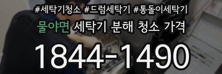 물야면 세탁기 분해 청소 가격