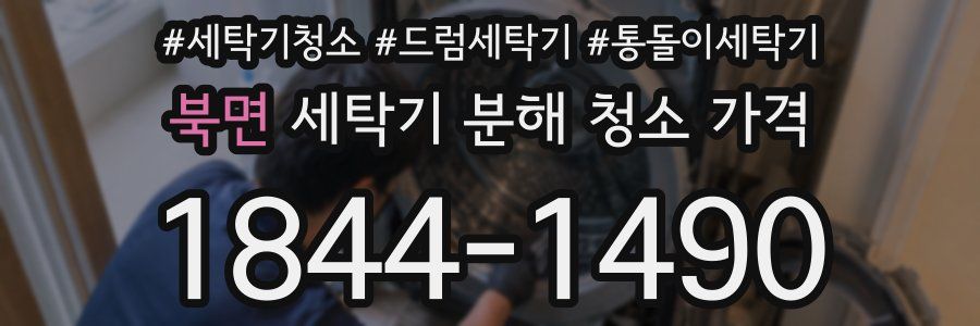 북면 세탁기 분해 청소 가격