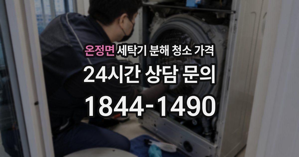 온정면 세탁기 분해 청소 가격