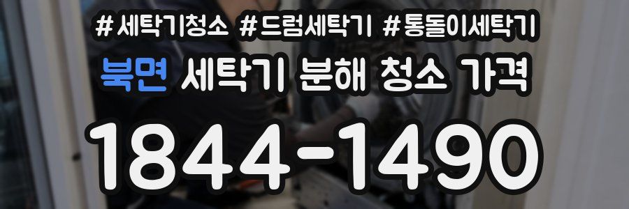 북면 세탁기 분해 청소 가격