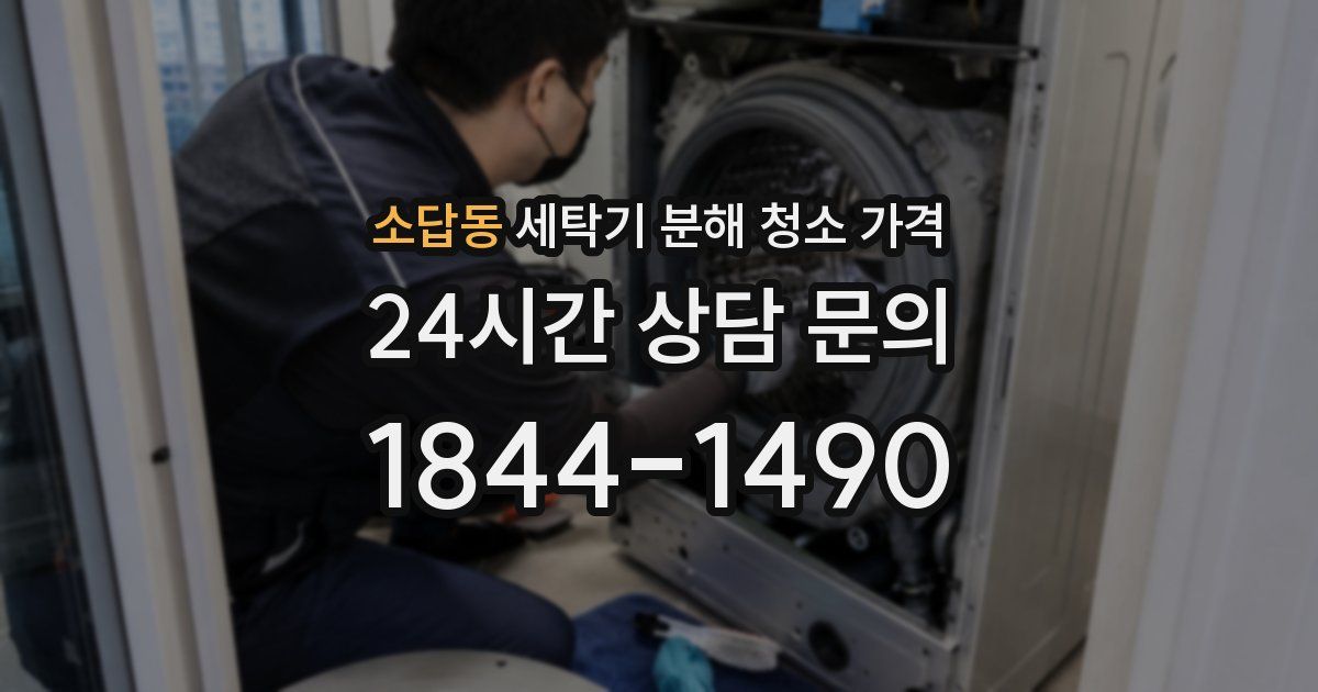소답동 세탁기 분해 청소 가격