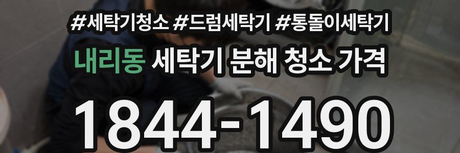 내리동 세탁기 분해 청소 가격