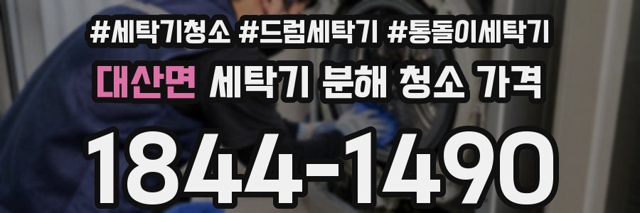 대산면 세탁기 분해 청소 가격